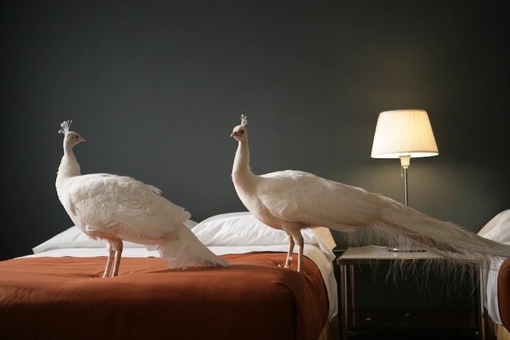 migration (empire) (video still; 2008) Doug Aitken.