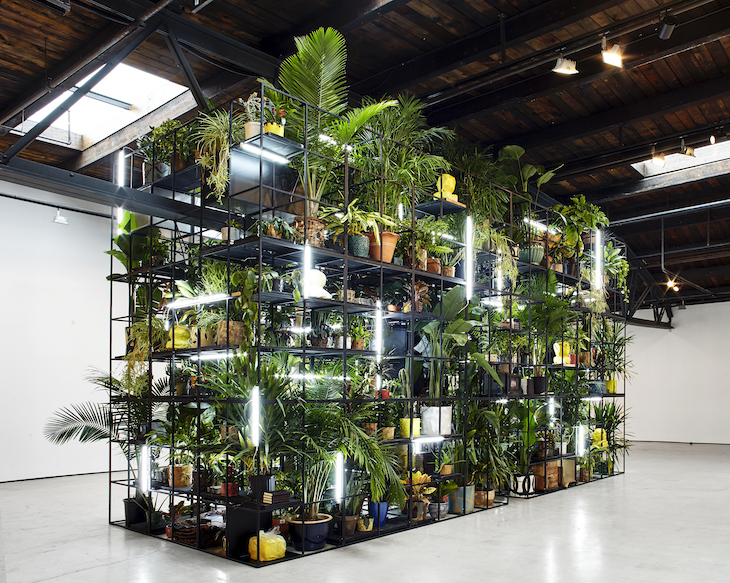 Antoine’s Organ (2016), Rashid Johnson.