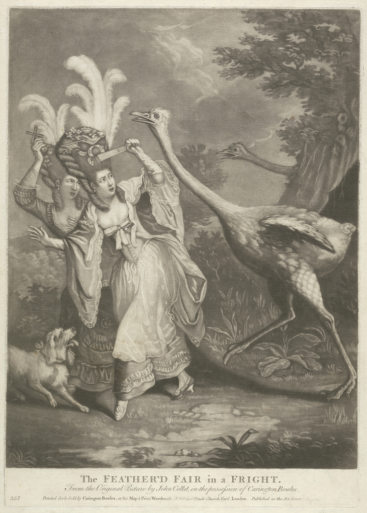 The Feather’d Fair in a Fright (1770s), after John Collet.