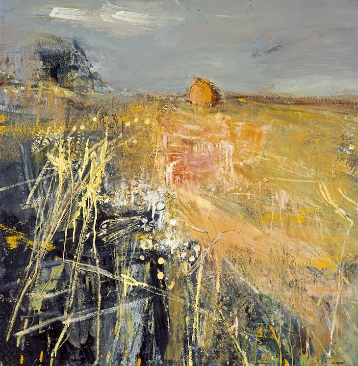 Summer Fields (c. 1961), Joan Eardley.