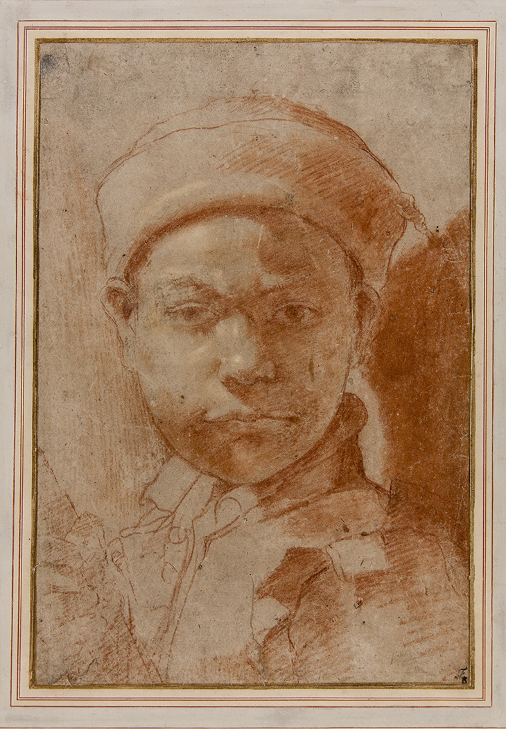 Portrait of a youth (16th century), Annibale Carracci.
