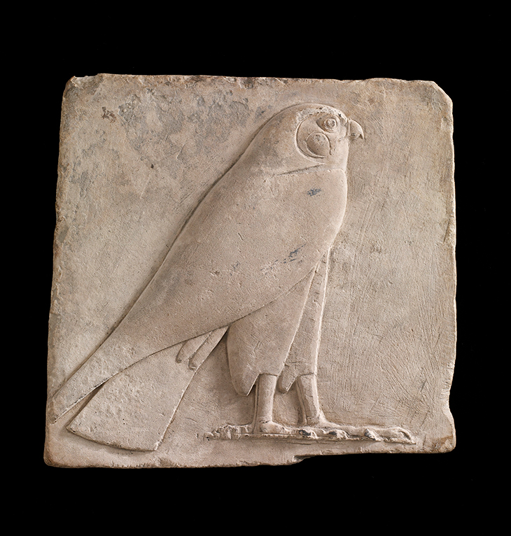 Plaque depicting a falcon, probably the god Horus (664–525 BC), Egypt.