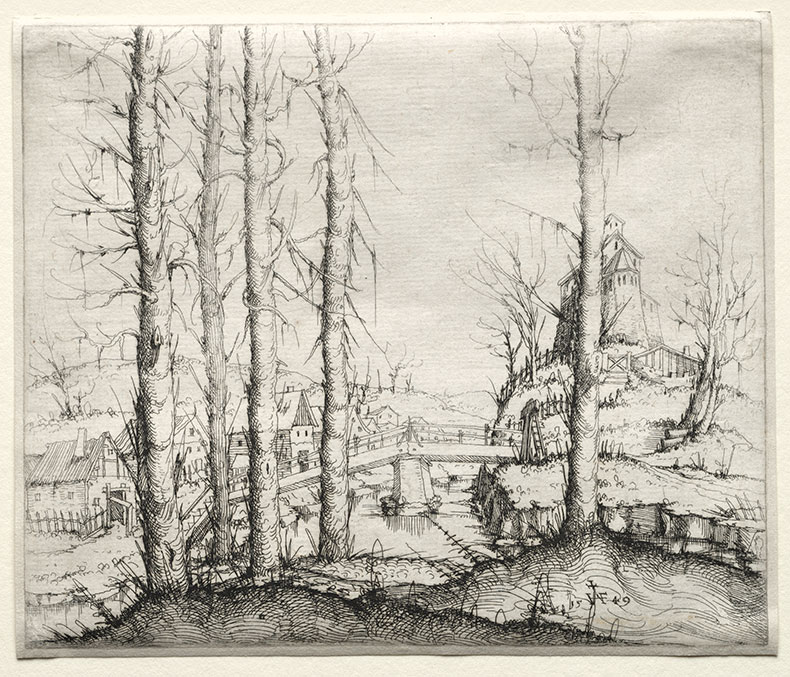 River Landsacpe with Five Bare Spruce Trees in the Foreground (1549), Augustin Hirscvogel. Cleveland Museum of Art