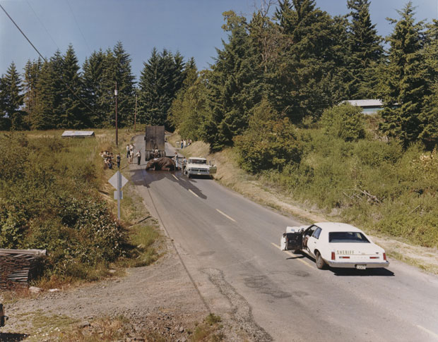 Exhausted renegade elephant, Woodland, Washington, June 1979, by Joel Sternfeld. © Joel Sternfeld. Image courtesy Beetles+Huxley and Luhring Augustine