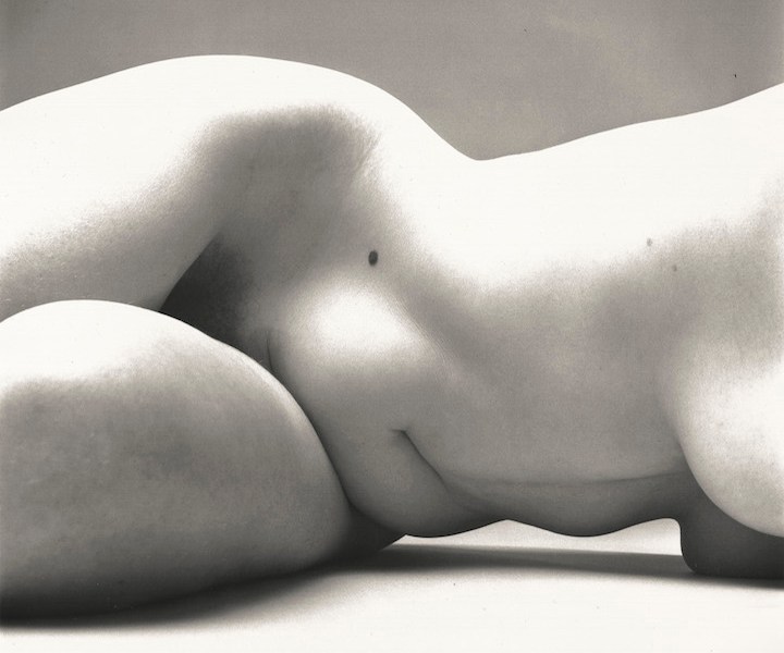 Nude No. 72, New York, 1949–50 Irving Penn. © The Irving Penn Foundation