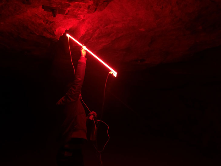 Christian Delécluse's installation in the Galerie rouge at Maison de la Pierre