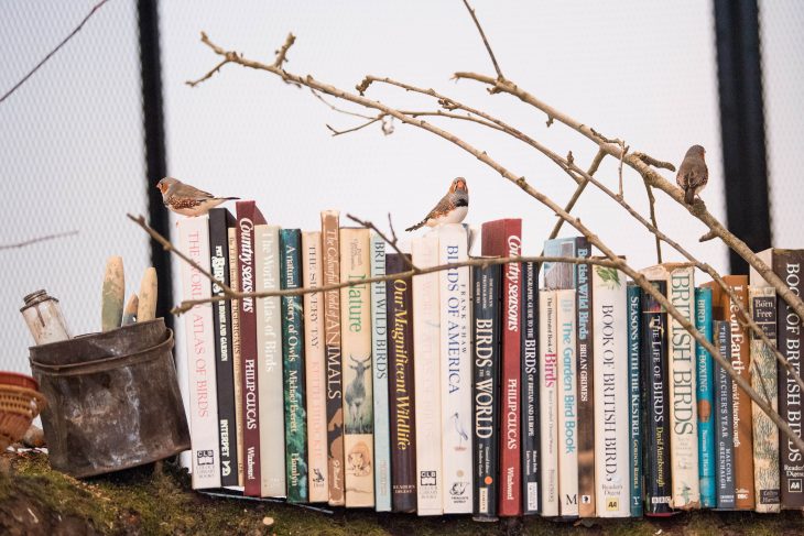 Installation view of Mark Dion's 'The Library for the Birds of London' (2018) at the Whitechapel Gallery, London, 2018, Photo: © Jeff Spicer/PA Wire