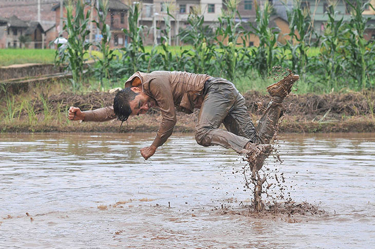 Freedom Farming (2014), Li Binyuan.