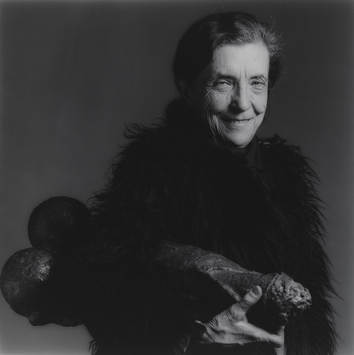 Louise Bourgeois, Mapplethorpe