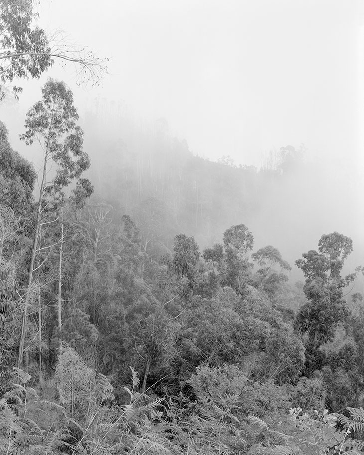 Madeira Island , from the series Endeavour (2018), Clément Verger.