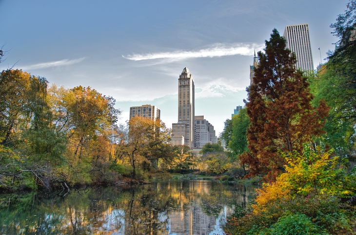 Central Park, New York