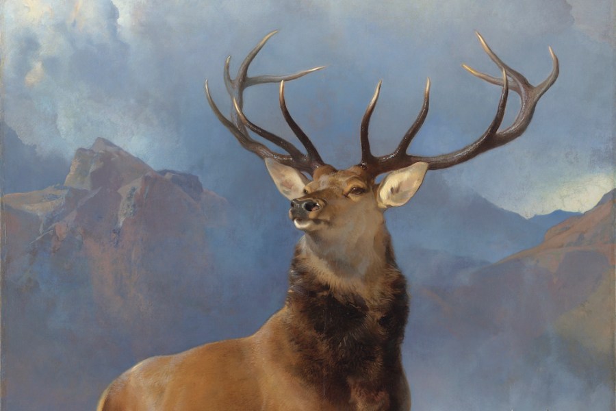 The Monarch of the Glen (detail; c. 1851), Edwin Landseer