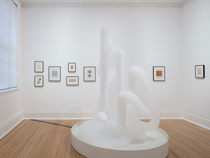 Installation view of ‘Signals: If You Like I Shall Grow’, kurimanzutto hosted by Thomas Dane Gallery, London, 2018. In the foreground is David Medalla’s David Medalla Cloud Canyons (1963–2018).