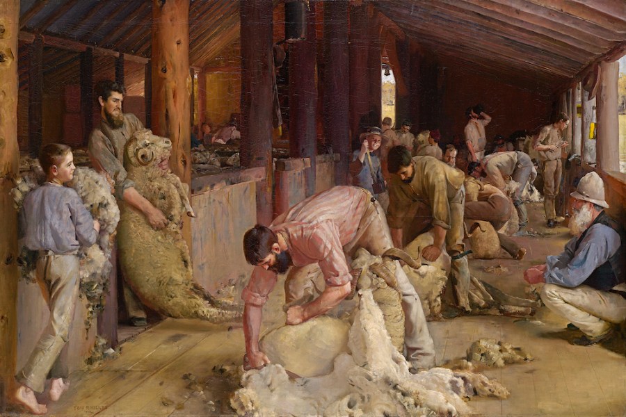 Shearing the rams