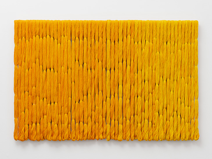 Lianes Colsa (2020), Sheila Hicks.