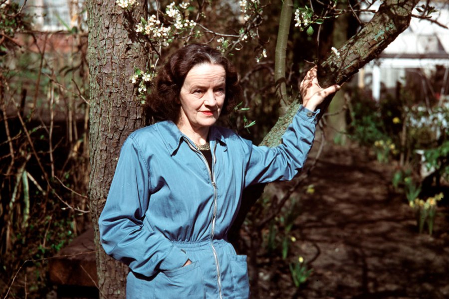 Barbara Hepworth in 1957.