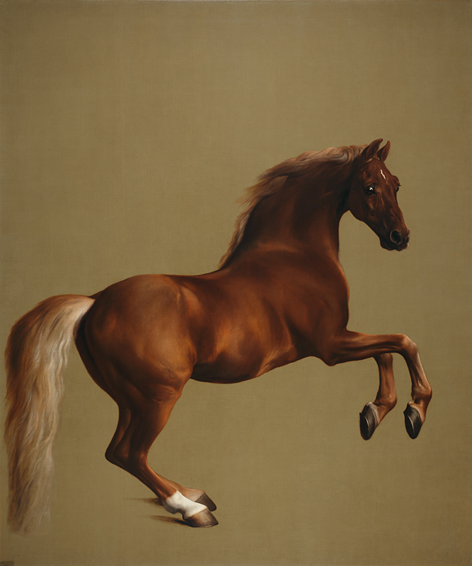 Whistlejacket (c. 1762), George Stubbs. National Gallery, London.