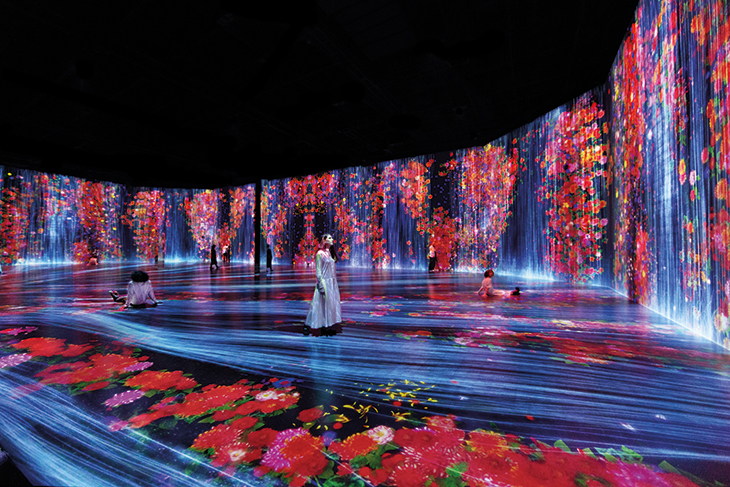 Courtesy Pace Gallery; © teamLAB