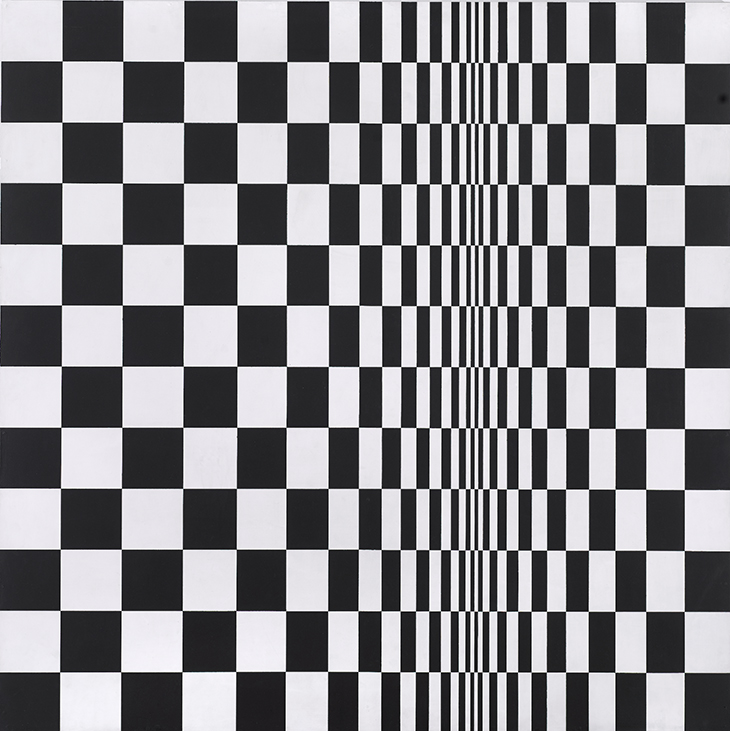 Movement in Squares (1961), Bridget Riley. 