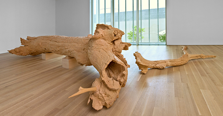 Hinoki (2007), Charles Ray.