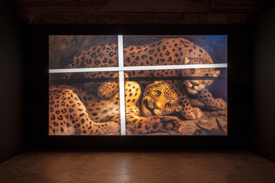 Amie Siegel Bloodlines video installation view