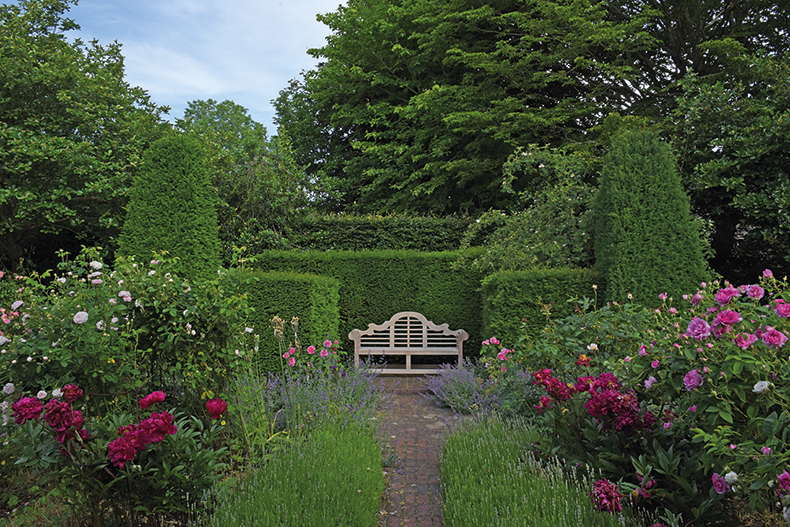 Jil Sander rose garden