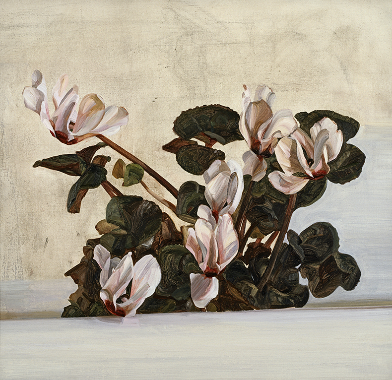 Cyclamen by Lucian Freud